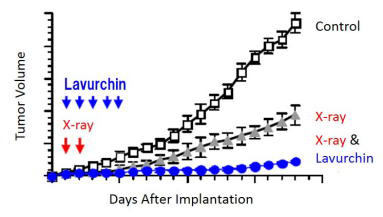 Sustained antitumor effect of radiation in combination with LAVURCHIN against human squamous cell carcinoma