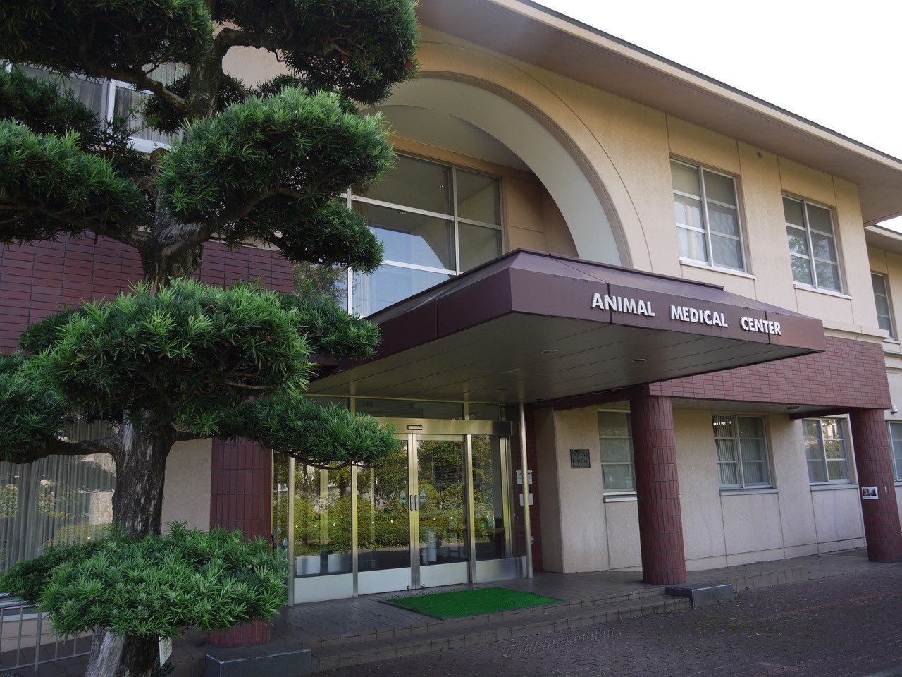 日本大学生物資源科学部動物病院