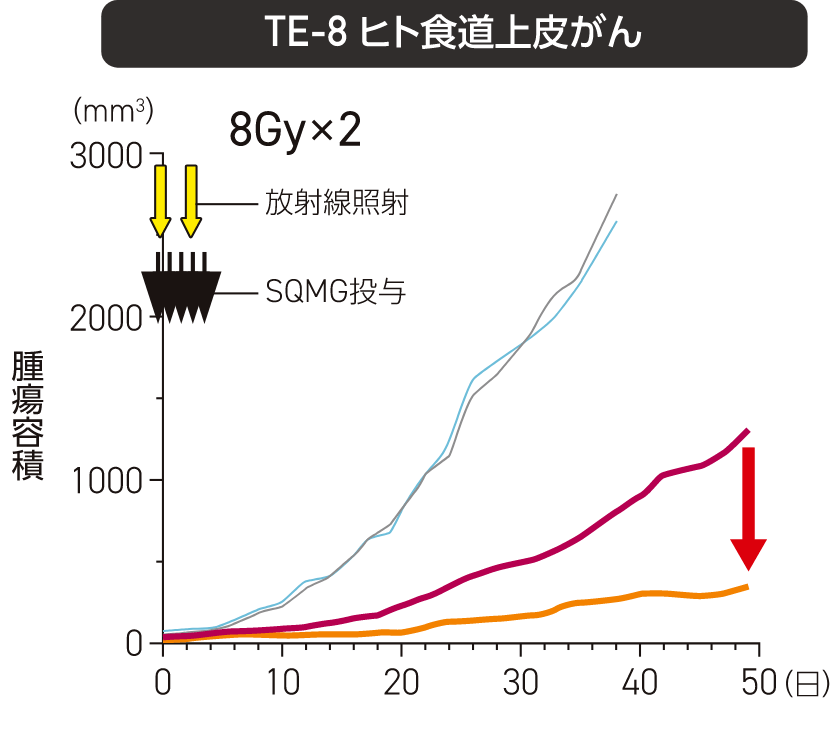 ヒト食道上皮がん