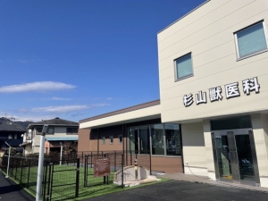 杉山獣医科