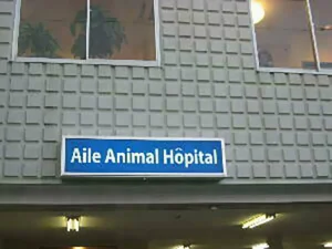 エル動物病院