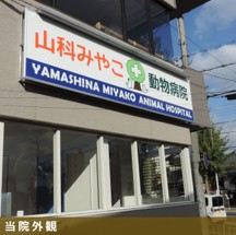 山科みやこ動物病院