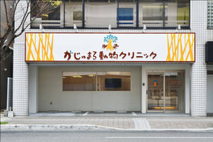 がじゅまる動物クリニック