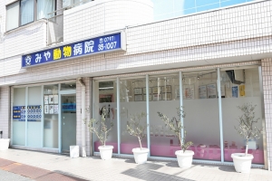 みや動物病院