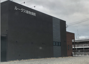 ルークス動物病院