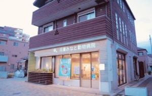 兵庫みなと動物病院