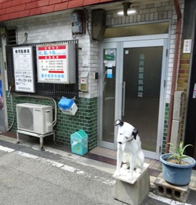 福井獣医科病院