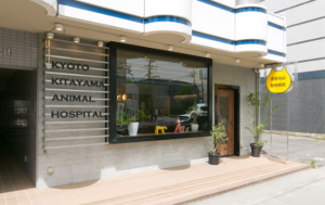 京都北山動物病院