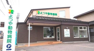 よつや動物病院