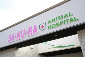 さくら動物病院
