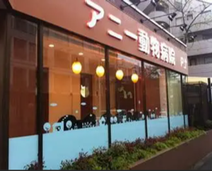 アニー動物病院