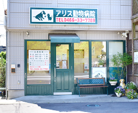 アリス動物病院